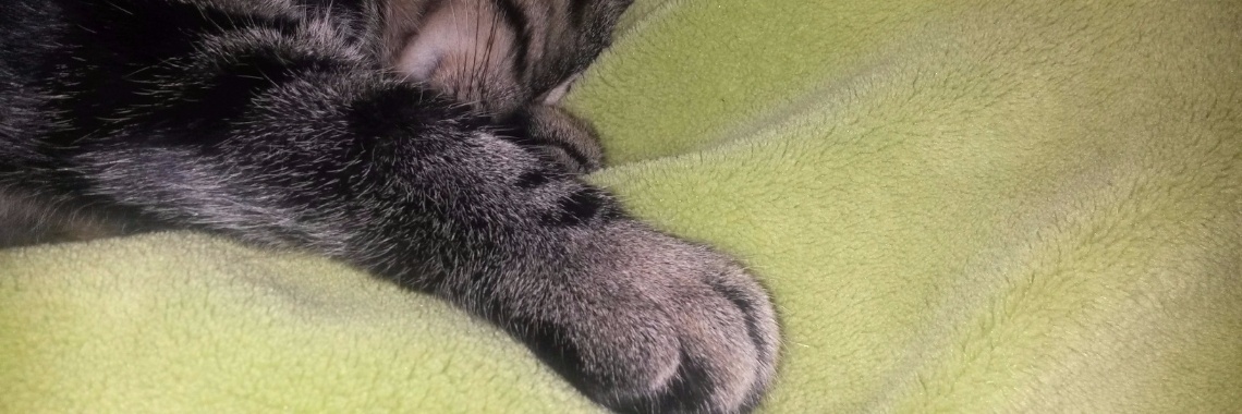 Snoopy, ik wil bij je liggen! | Vlindertje73