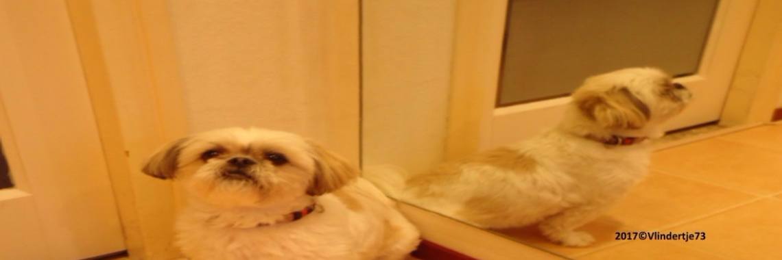 Spiegelen. | Vlindertje73