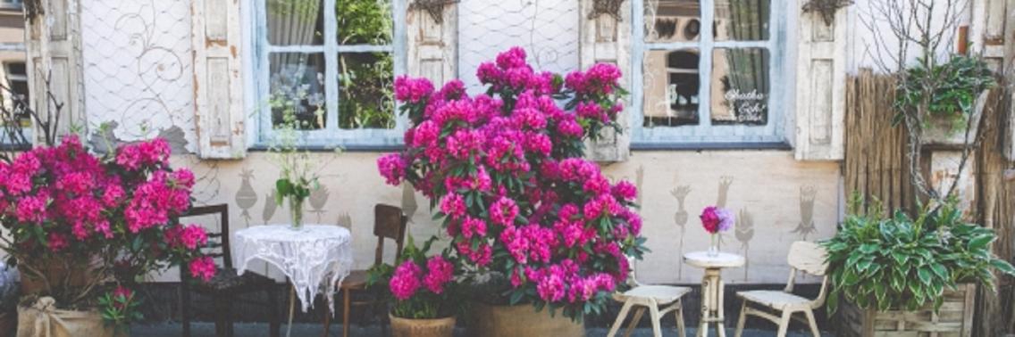 Zwanger? Nee toch?! | Vlindertje73