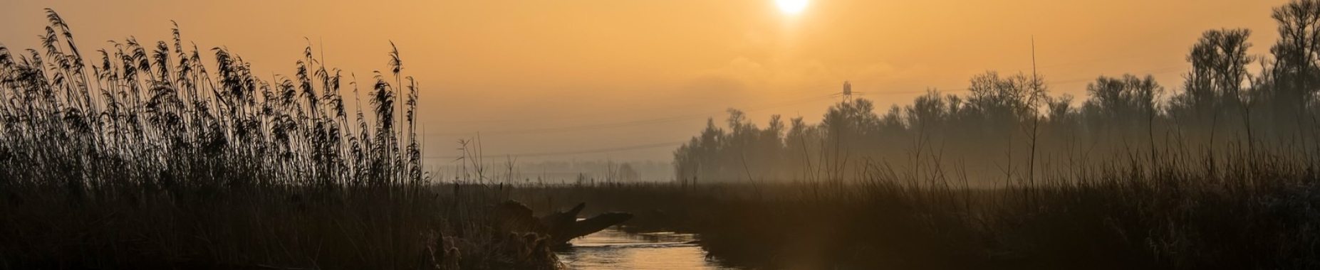 Een koude zaterdagochtend in januari | Natuurfotografie