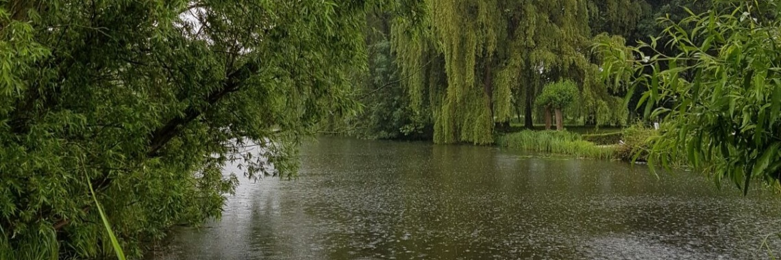 eggless salad | RelaxMetBex