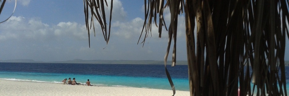 Bonaire, het warmste eiland van Nederland, het hele jaar door ! | Brenda Taselaar