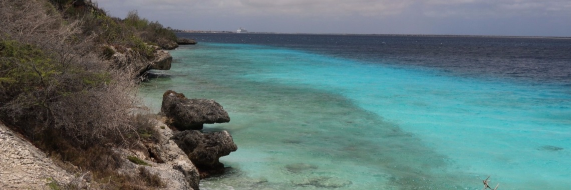 Persoonlijk contact & goede service.... Fijne vakantie op Bonaire ! | Brenda Taselaar