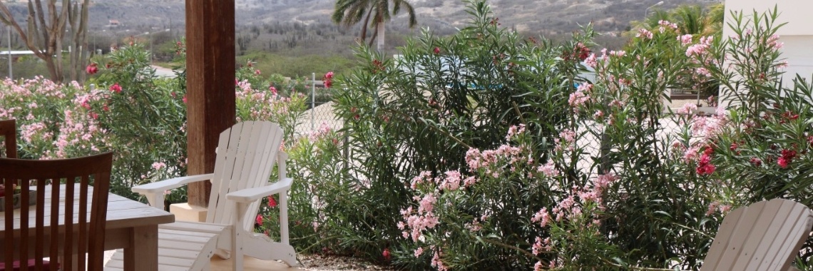 We mogen weer, nog 6 nachtjes slapen... | Brenda Taselaar