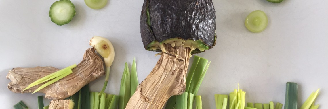 Avocado mushroom and stork | Maddys FoodFun