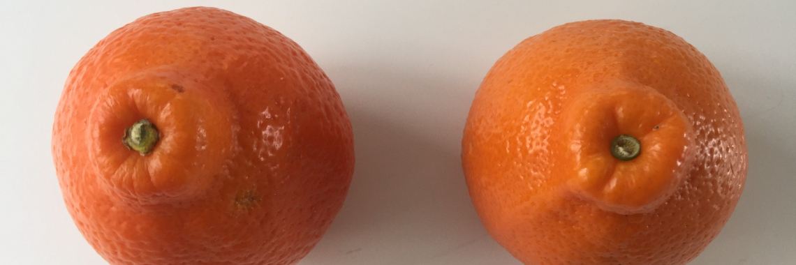 Minneola | Maddys FoodFun