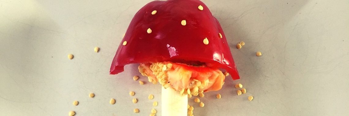 On a large mushroom | Maddys FoodFun