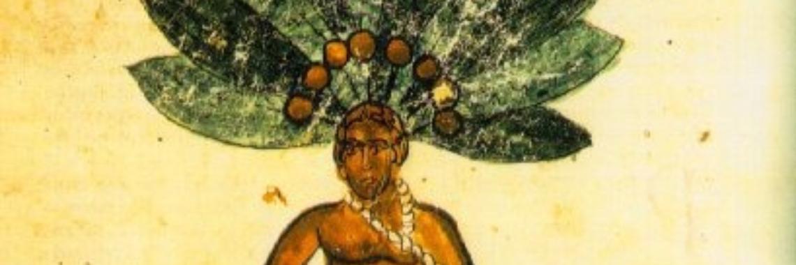 Alkaloids, alruin and the nervous system | Maurice Godefridi