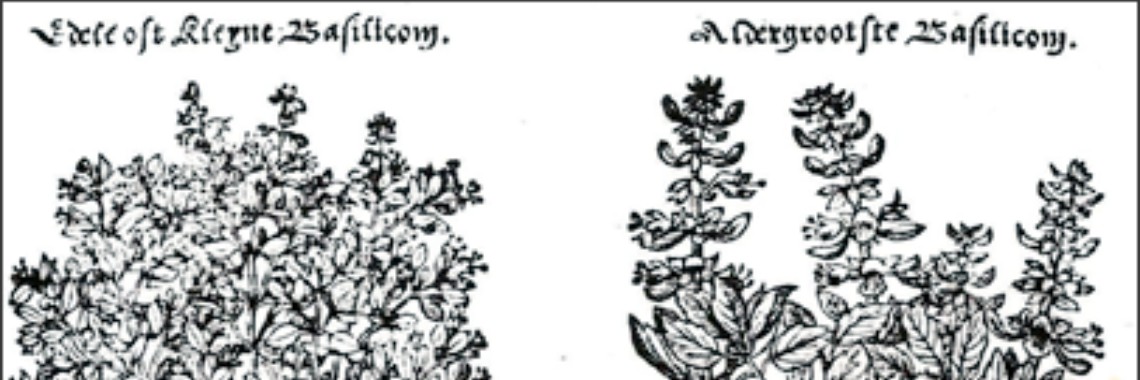 Basilicum, verhalen uit een ver verleden. | Maurice Godefridi