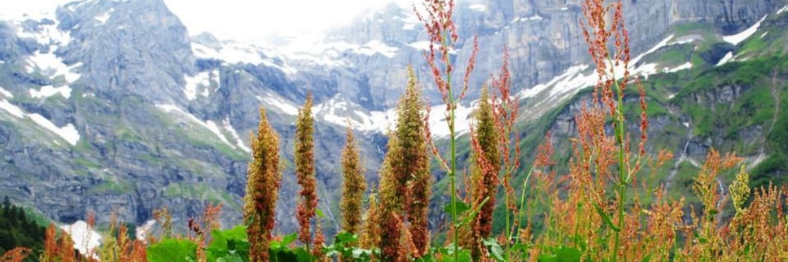 Mountain tour. Fer a cheval au bout du monde. | Maurice Godefridi