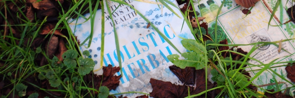 Dagboek: Boeken met betekenis | Maurice Godefridi