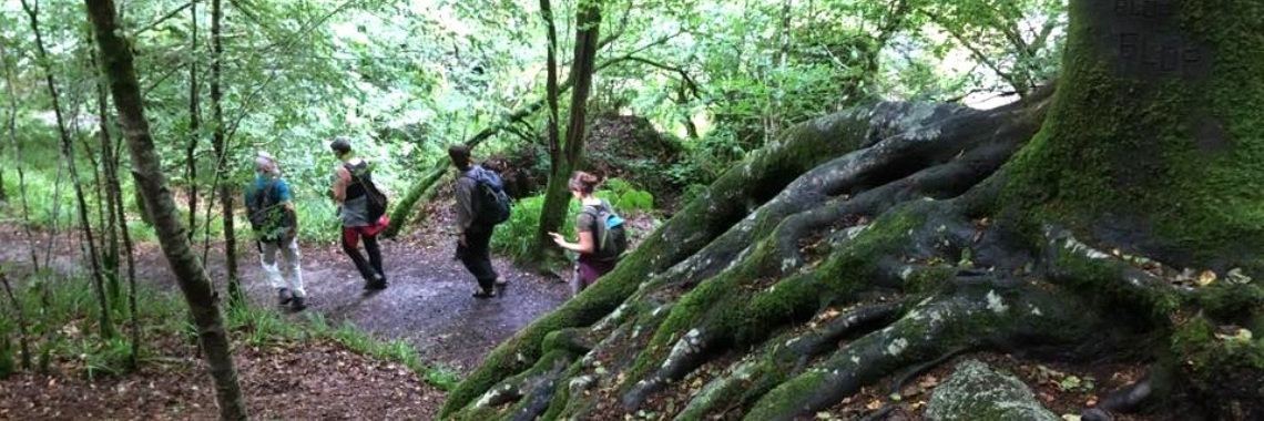 Memory walk. A herbarist-caveman on a spring trek. | Maurice Godefridi
