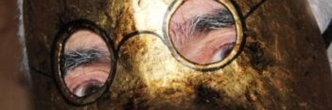 Retro and current. The bully mask. | Maurice Godefridi