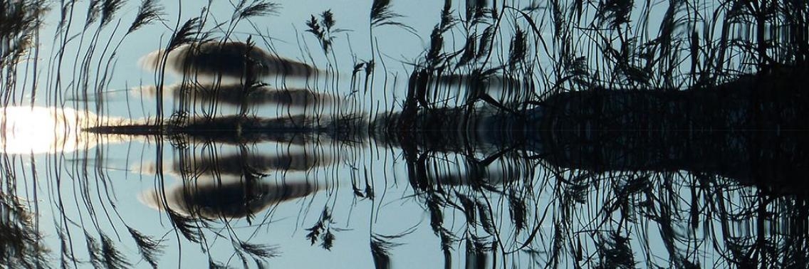 ED PAKKET   Zo snel als een raket | Eduard Eggink