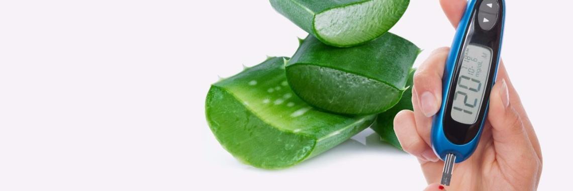 7 redenen om Aloë Vera te gebruiken bij de behandeling van diabetes | Yoors World