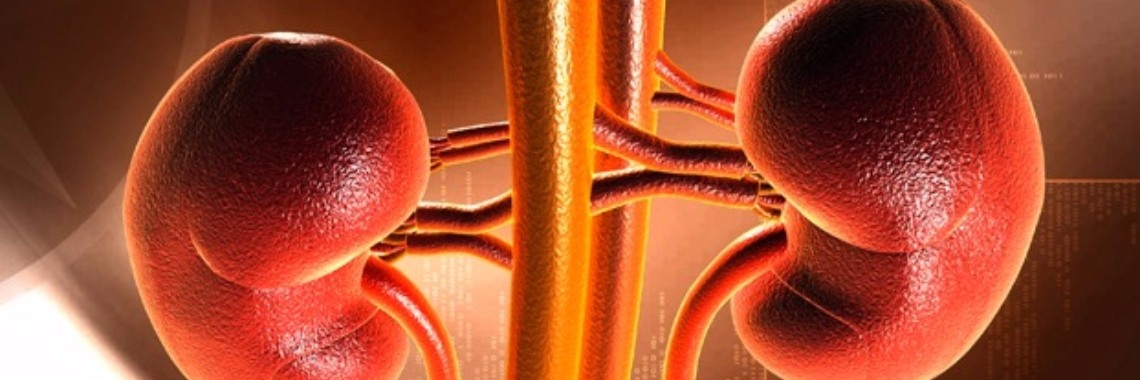 8 Body Signs Your Kidneys Are Under Threat | Yoors World