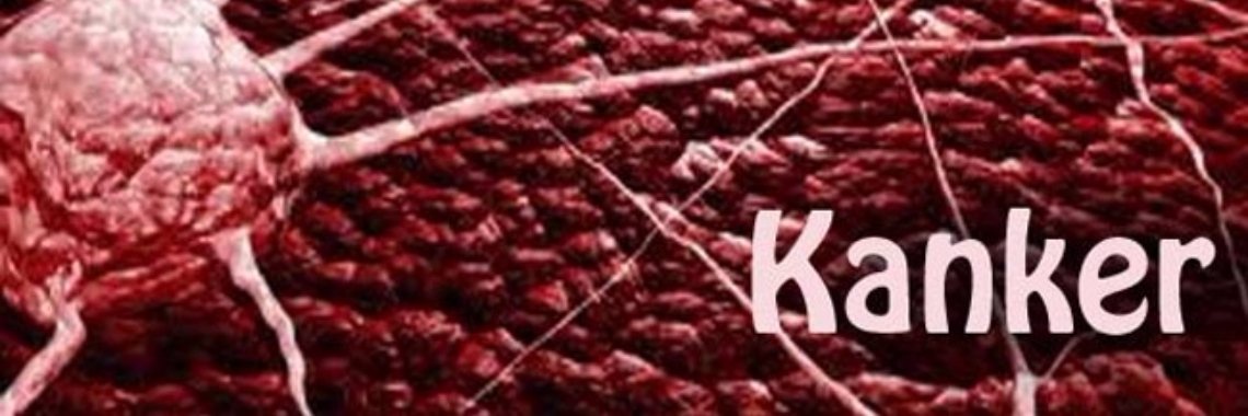 9 natuurlijke kankerbestrijders die te weinig aandacht krijgen | Yoors World