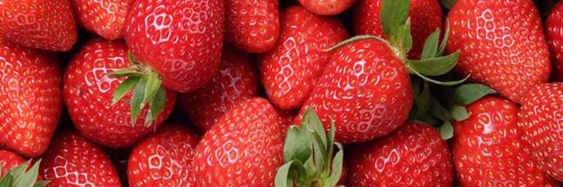 Aardbeien kunnen schadelijke ontstekingen van de dikke darm helpen verminderen | Yoors World