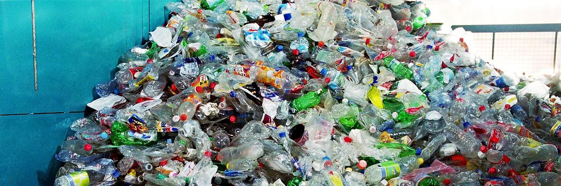 Bacterie ontdekt die plasticflessen eet | Yoors World