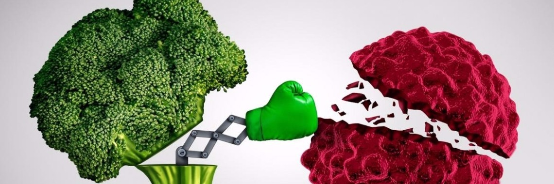 Broccoli deelt rake klappen uit aan leverkanker. | Yoors World