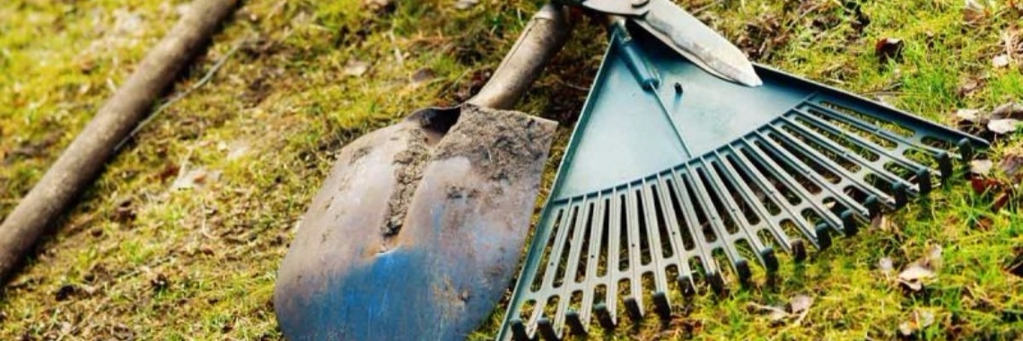 The 4 most common mistakes among beginners gardeners and their solution. | Yoors World