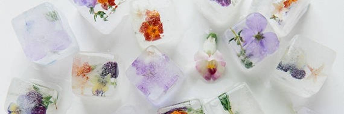 De 6 mooiste ijsblokjes om je drankjes te versieren | Yoors World