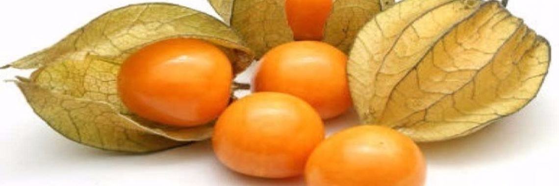 Dit kleine fruit is een echte schat voor de gezondheid | Yoors World