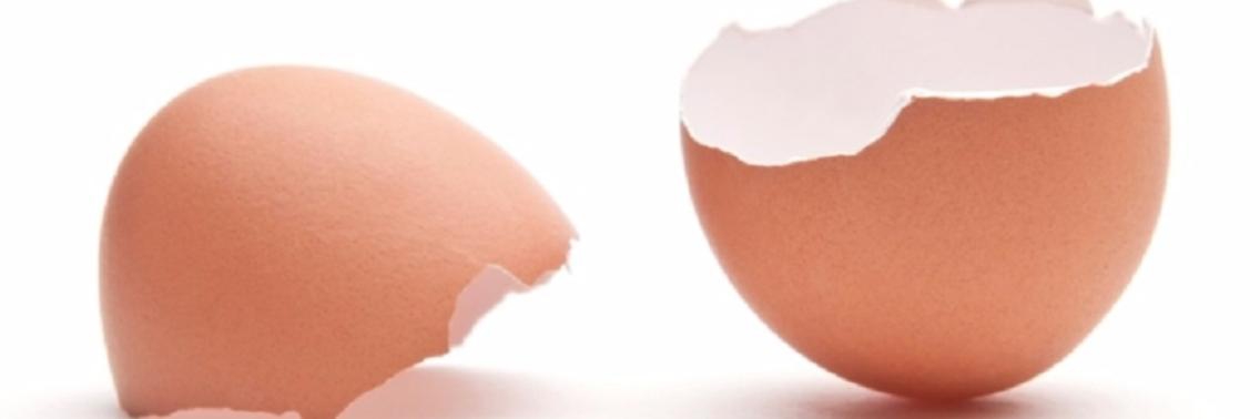 Eggshells are healthy, do not throw them away anymore. | Yoors World