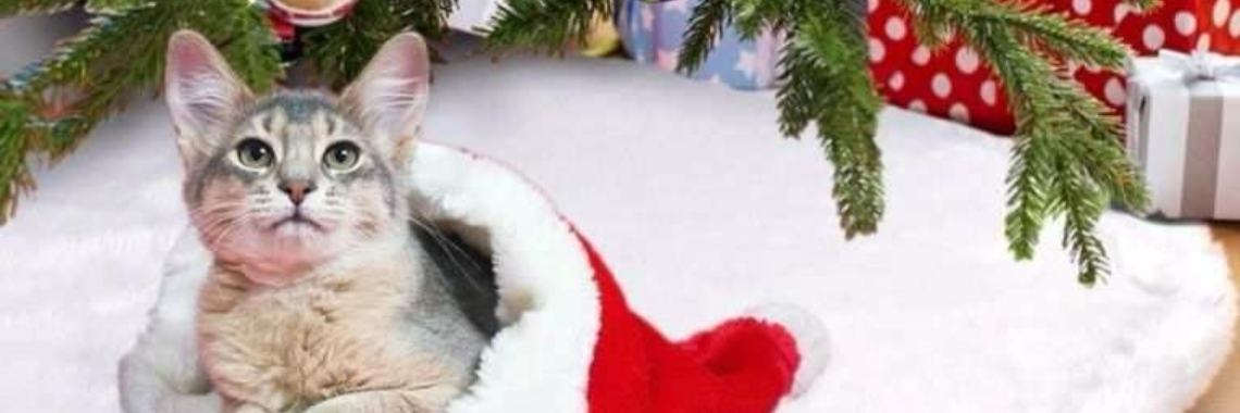 5 Geniale tips om je huis voor te bereiden op de feestperiode | Yoors World