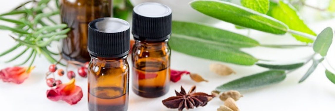 Hoe werkt een herborist? | Yoors World