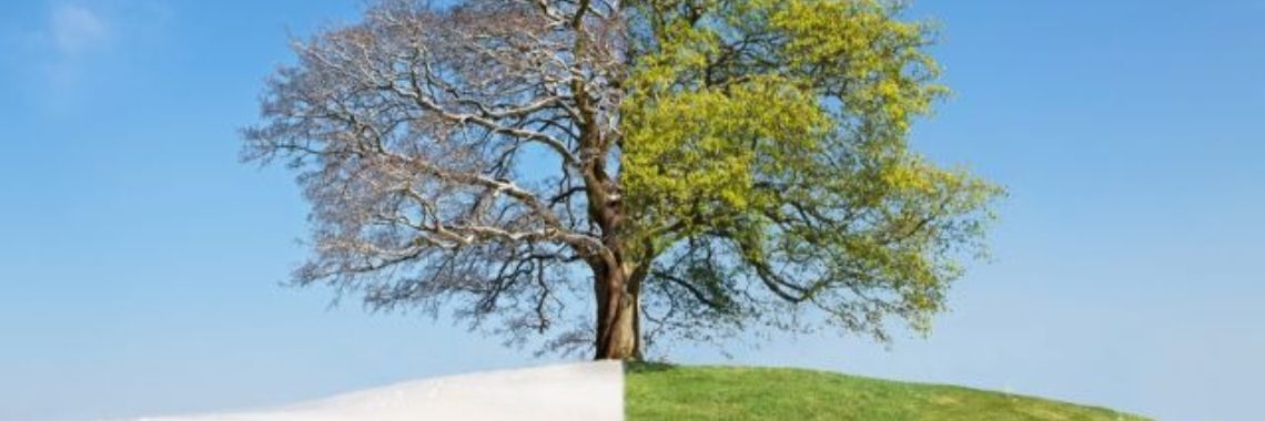 Hoera één uur langer slapen...maar toch een grote inpact op al wat leeft | Yoors World