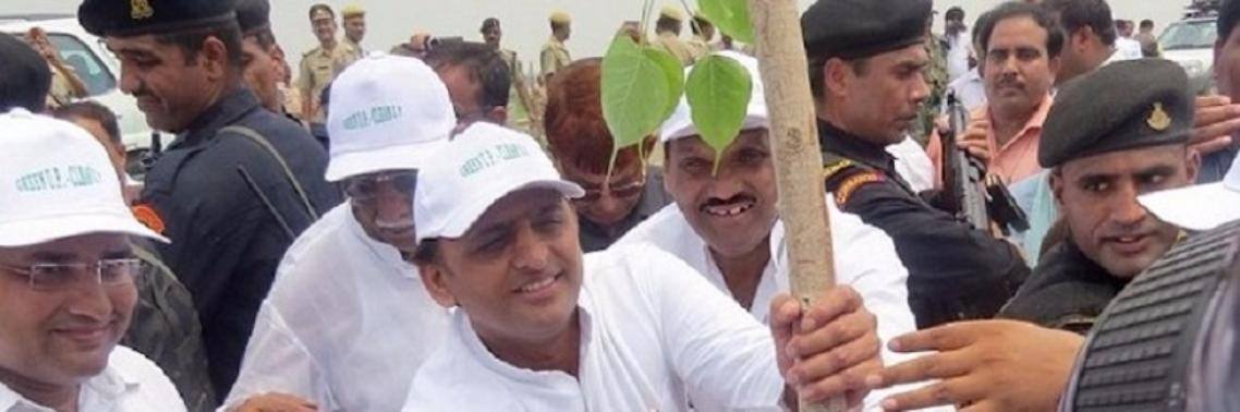 India breekt wereldrecord door 50 miljoen bomen te planten  op één dag | Yoors World