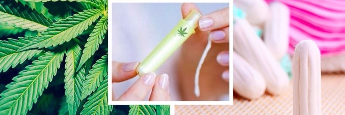Kan de cannabis tampon vrouwen op natuurlijke wijze bevrijden van maandelijkse pijnen | Yoors World