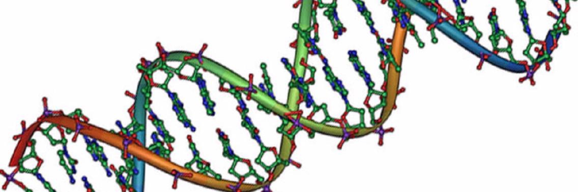 Kanker en autisme liggen genetisch heel dichtbij elkaar  | Yoors World