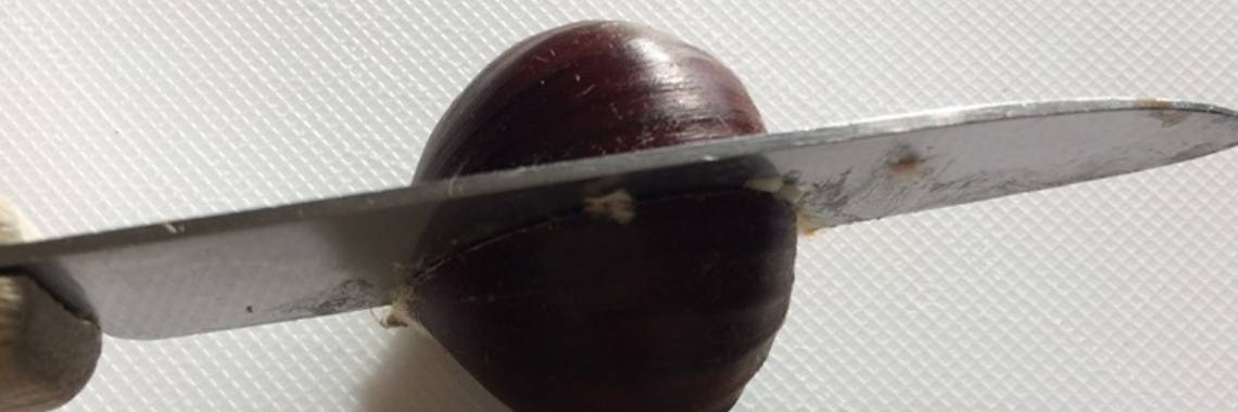 Kastanjes pellen op de snelste manier | Yoors World