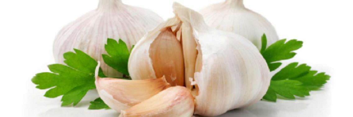 Knoflook. Geneeskracht in een knolletje! | Yoors World