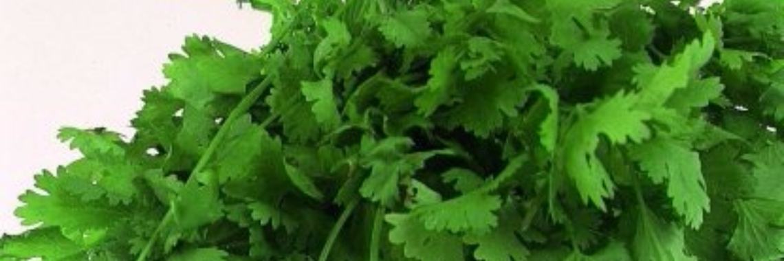 Koriander een ware kracht om te ontgiften, probeer dit recept en voel je goed. | Yoors World