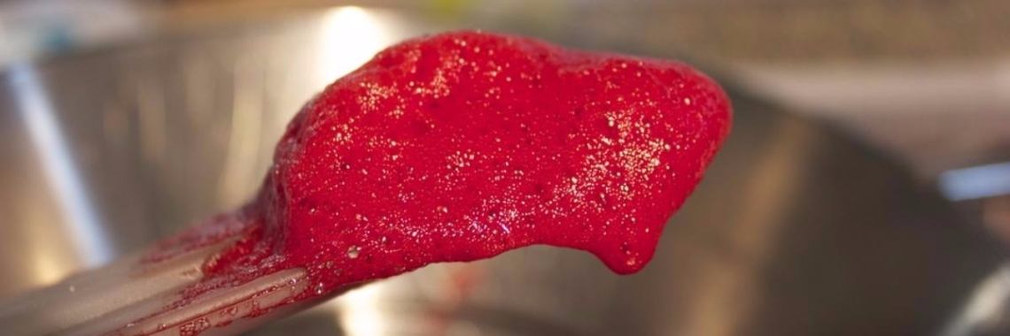 Om de wereld te redden moet je bloed, insecten, uitwerpselen en hersenen eten ! | Yoors World