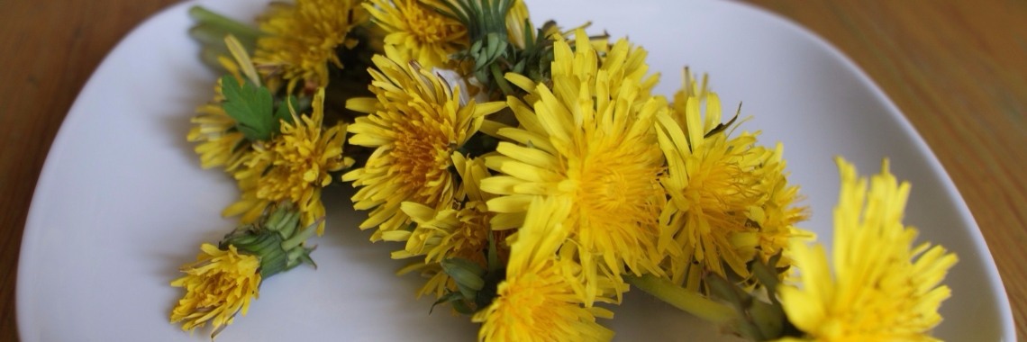 Paardenbloemen geen onkruid, maar een topkruid voor je gezondheid | Yoors World