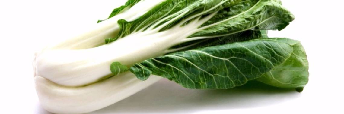 Paksoi, zowel culinaire als geneeskrachtige mogelijkheden | Yoors World