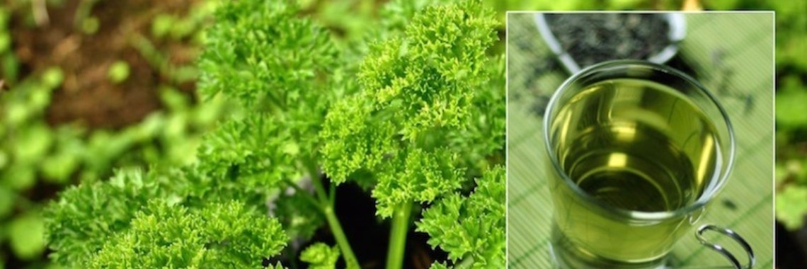 Peterselierecept dat korte metten maakt met blaasontsteking en urineweginfecties | Yoors World