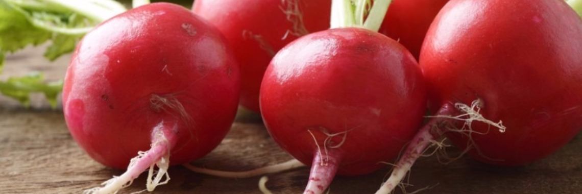 Radijzen tegen koorts en 3 andere ongekende gezondheidsvoordelen | Yoors World