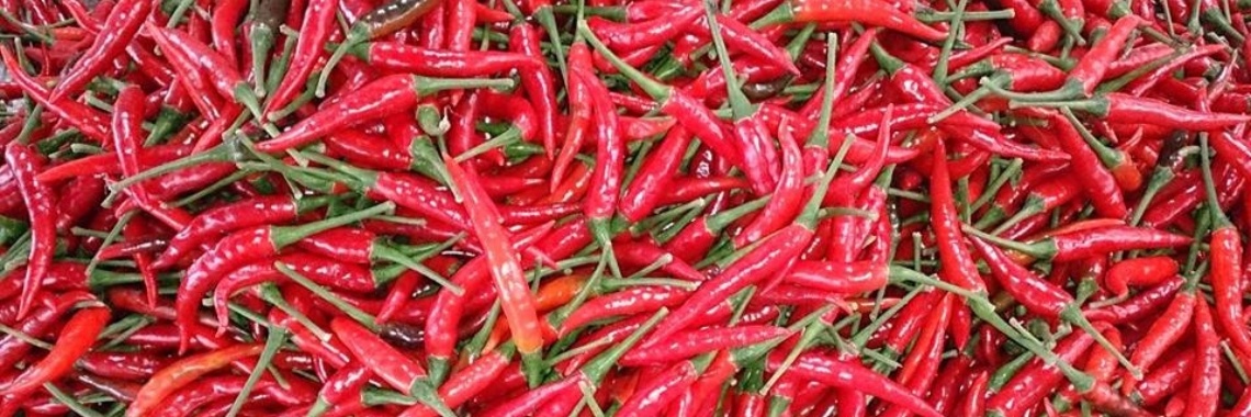 Rode chili pepers kunnen het geheim zijn tot een langer leven | Yoors World