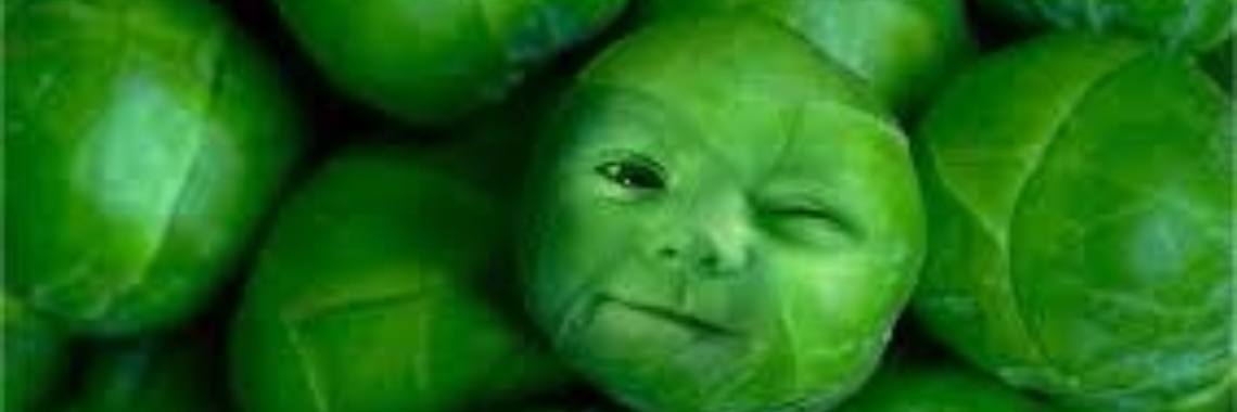 Spruitjes:gezondheidsbommetjes om van te houden. | Yoors World