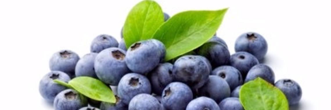 Wat blauwe bessen kunnen betekenen voor een post traumatische stress stoornis | Yoors World