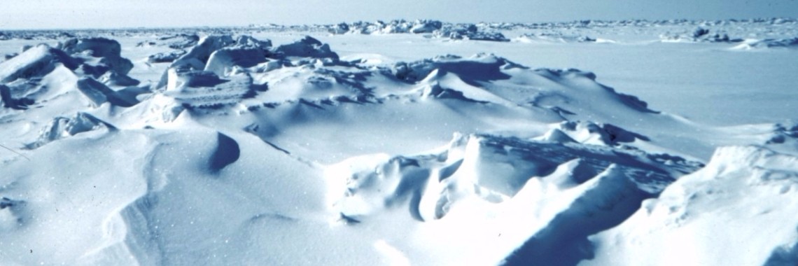 We bereiden ons het best voor op de mini-ijstijd van 2030! | Yoors World