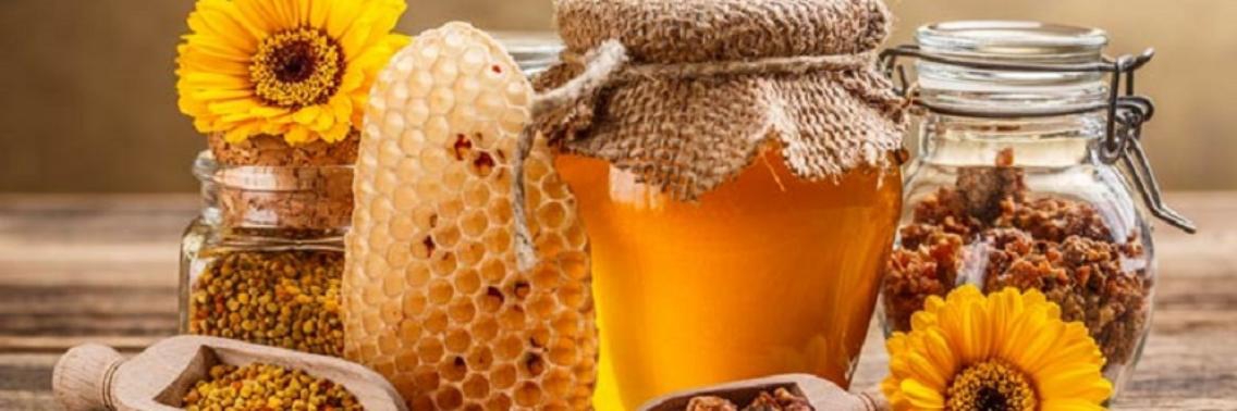 Wetenschappers ontdekken waarom honing het beste antibioticum is | Yoors World