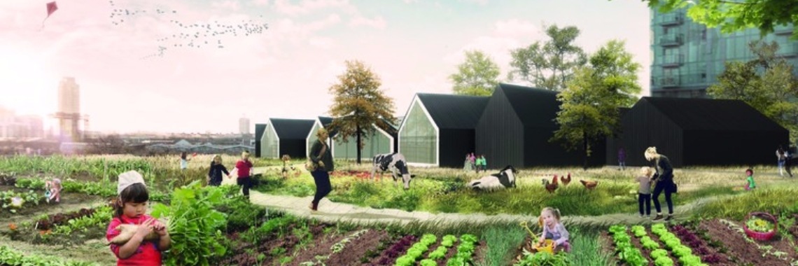 Wordt stadslandbouw de peuterschool van de toekomst? | Yoors World