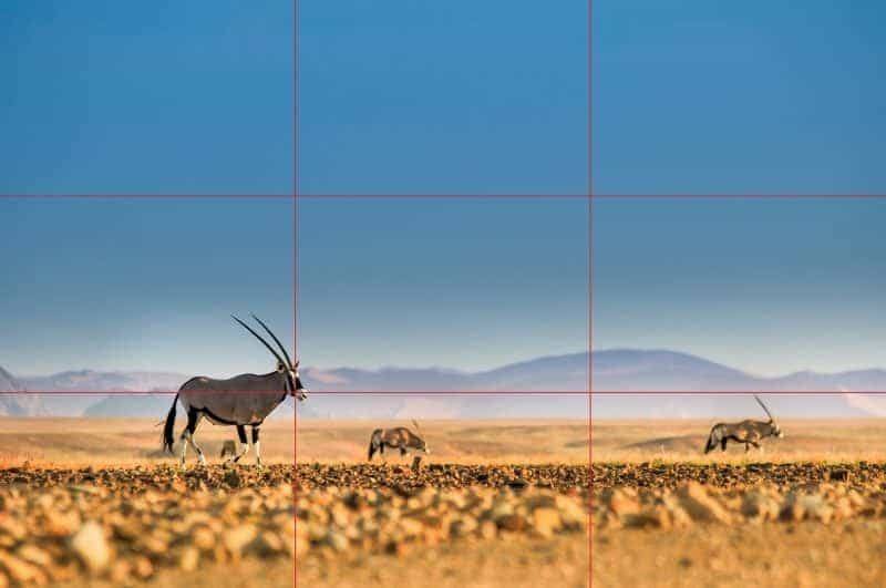 Pinterest-foto's die viraal gaan: 7 bewezen tips | leefnugezonder