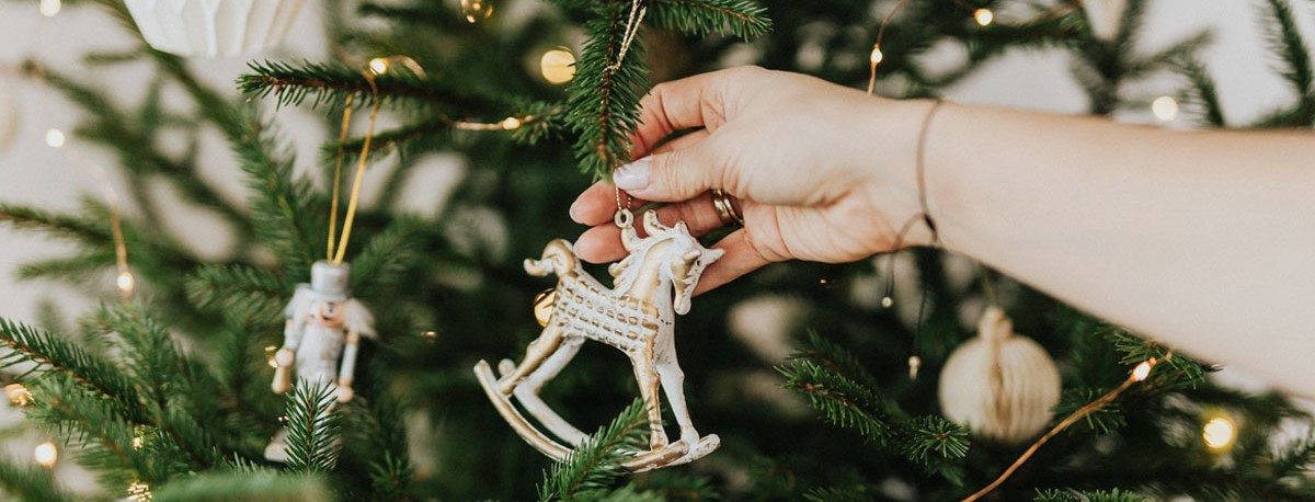Kerstboom Trends: Milieuvriendelijke Opties voor een Groene Kerst 2024 | leefnugezonder